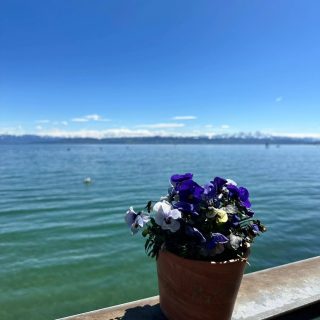 Ach du schöner Bodensee! 🌊🌞
#bodensee_de #bodensee #bodenseeliebe #bodenseetourismus #wasserburg #tourismus #restaurant #hotel #wheretonext