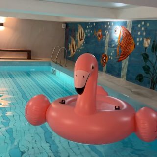 🌧️ Schlechtes Wetter am Bodensee? Kein Problem.

Während draußen die Wolken vorbeiziehen, wartet bei uns drinnen die perfekte Auszeit: Unser hauseigener Pool lädt zum Entspannen, Abschalten und Wohlfühlen ein. ✨

Genieße die angenehme Wärme des Wassers, lehne Dich zurück und lass bei entspannter Musik einfach mal die Seele baumeln. 🏊‍♀️💙

Und für alle, die auch im Urlaub gerne aktiv bleiben: Auf 12 Metern kannst Du ganz entspannt Deine Bahnen ziehen und den Tag sportlich gestalten.

Egal ob Wellness-Moment oder kleine Trainingseinheit, unser Pool sorgt dafür, dass der Badespaß bei jedem Wetter garantiert ist. ☔➡️🌊

#HotelSeestern #BodenseeUrlaub #PoolTime #WellnessAmBodensee #UrlaubInDeutschland

🎥: @melissa.nieberle
